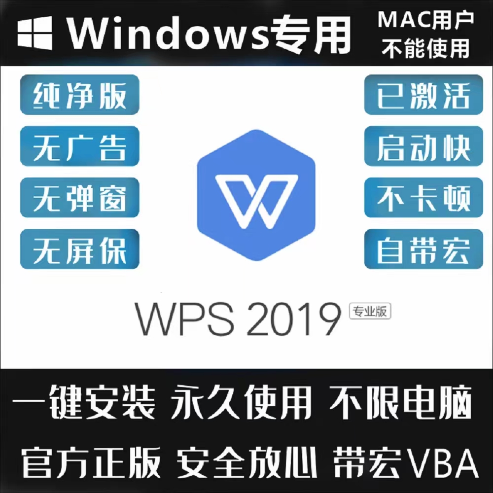 WPS2019定制版政府版专业版本合集